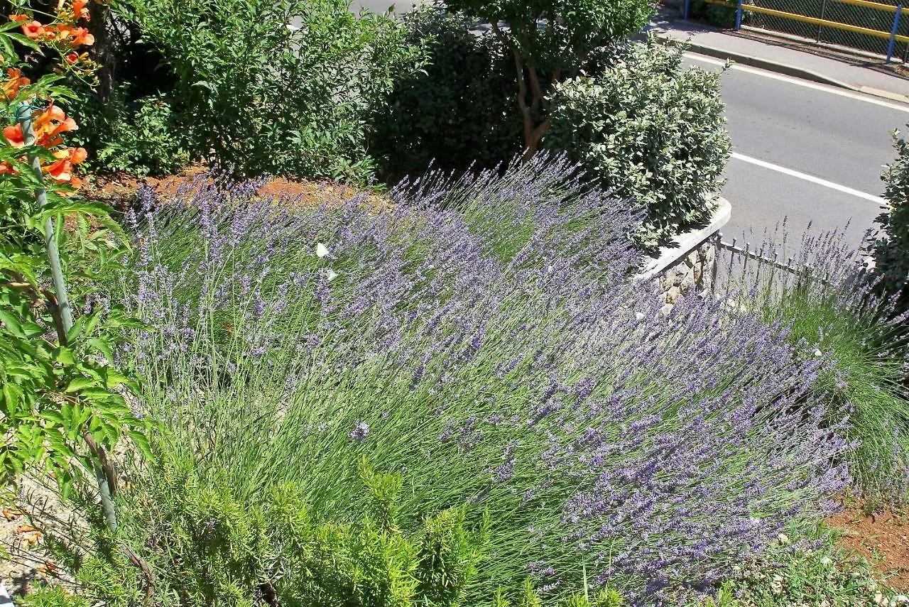 أوباتيا Holiday Home Salvia