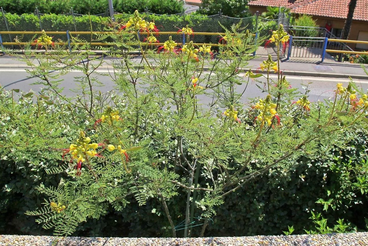 أوباتيا Holiday Home Salvia كرواتيا